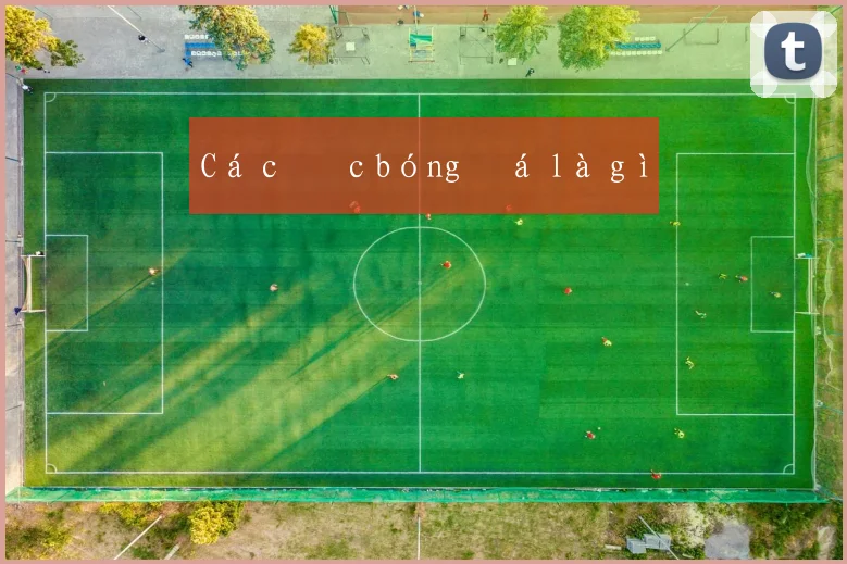 Cá cược bóng đá là gì