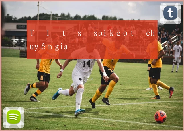 Tỷ lệ tỉ số soi kèo từ chuyên gia